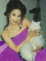 李莉莉电影在线视频,重温经典，感受光影魅力